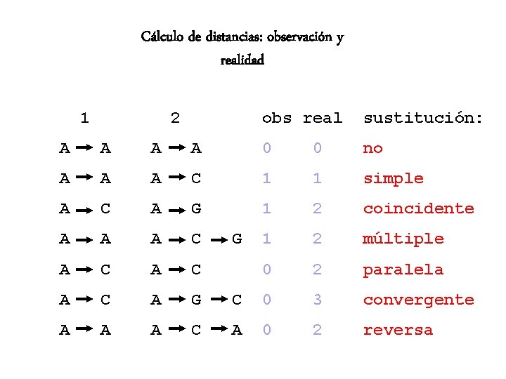 Cálculo de distancias: observación y realidad 1 2 obs real sustitución: A A 0