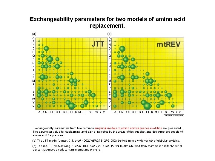 Exchangeability parameters for two models of amino acid replacement. Exchangeability parameters from two common