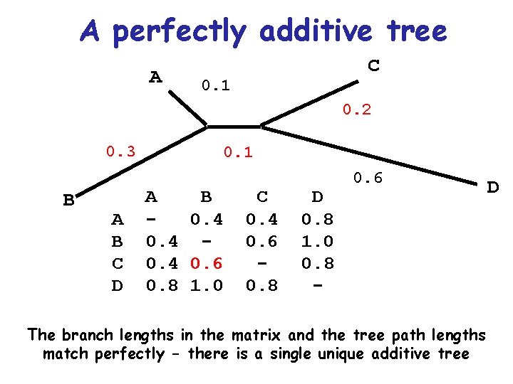 A perfectly additive tree A C 0. 1 0. 2 0. 3 B A