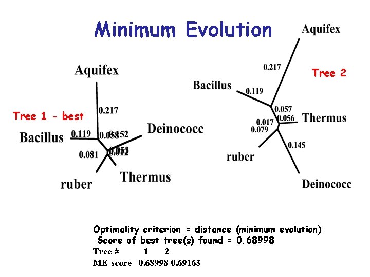 Minimum Evolution Tree 2 Tree 1 - best Optimality criterion = distance (minimum evolution)
