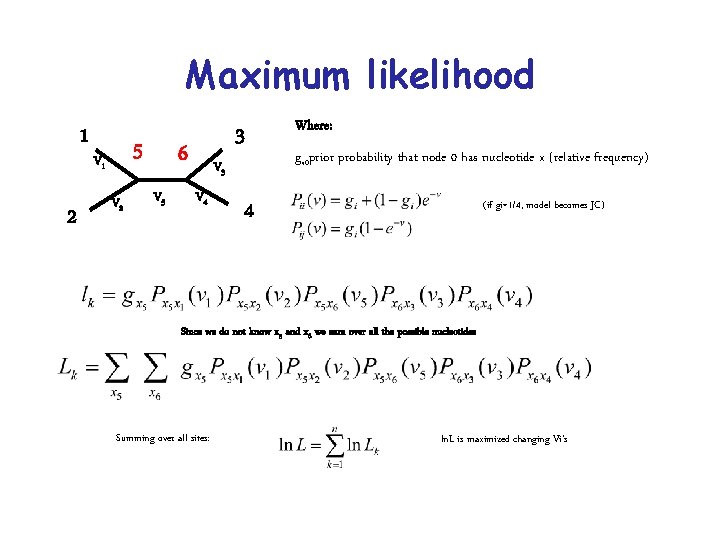 Maximum likelihood 1 2 5 V 1 V 2 6 V 5 V 3