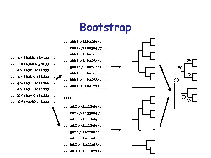Bootstrap. . . ahhfhgkhkafdggg. . . rhhfkgkhkaydggg. . . ahdfhgkhkafkdgg. . . rhdfkgkhkaykdgg. .