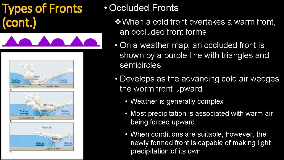 Types of Fronts (cont. ) • Occluded Fronts v. When a cold front overtakes