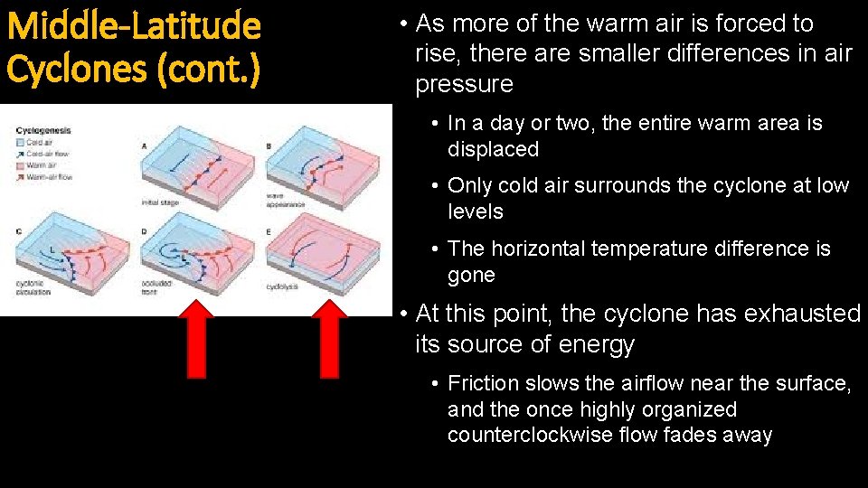 Middle-Latitude Cyclones (cont. ) • As more of the warm air is forced to