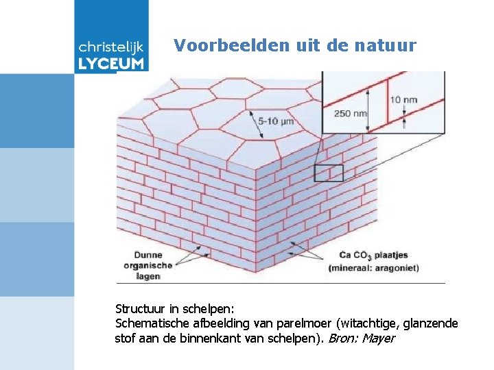 Voorbeelden uit de natuur Structuur in schelpen: Schematische afbeelding van parelmoer (witachtige, glanzende stof