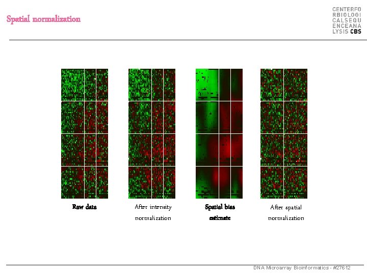 Spatial normalization Raw data After intensity normalization Spatial bias estimate After spatial normalization DNA