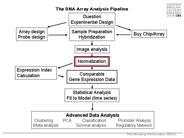 The DNA Array Analysis Pipeline Question Experimental Design Array design Probe design Sample Preparation