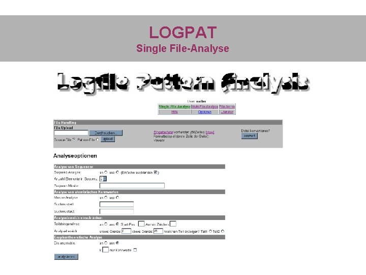 LOGPAT Single File-Analyse 