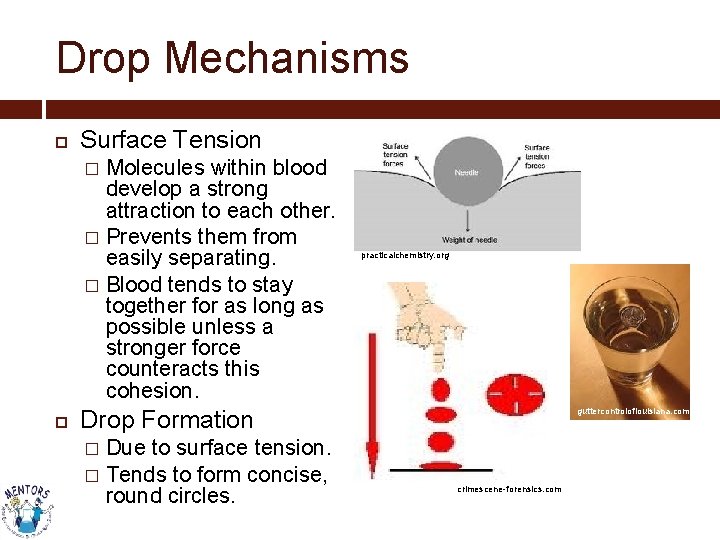 Drop Mechanisms Surface Tension Molecules within blood develop a strong attraction to each other.
