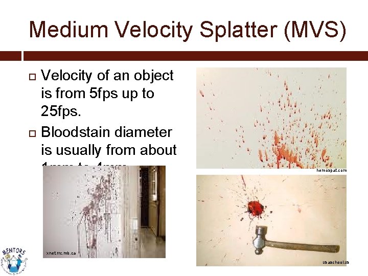 Medium Velocity Splatter (MVS) Velocity of an object is from 5 fps up to