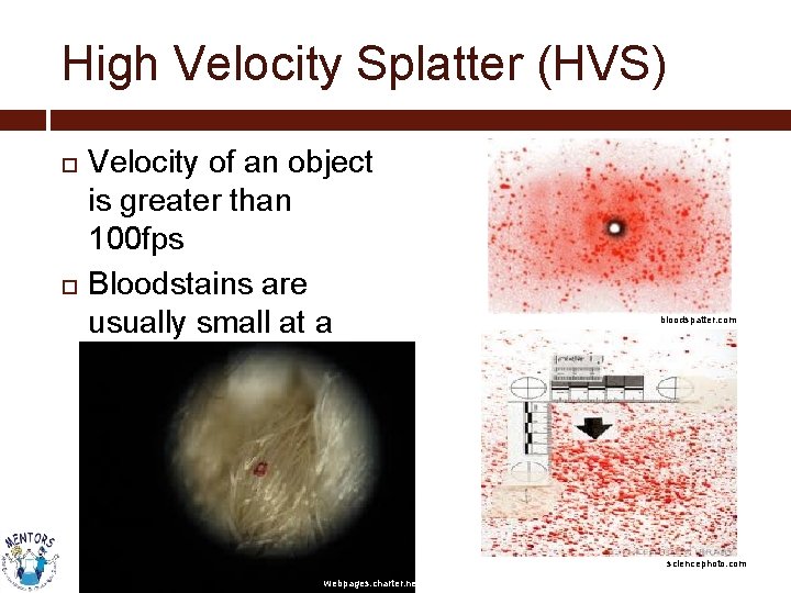 High Velocity Splatter (HVS) Velocity of an object is greater than 100 fps Bloodstains