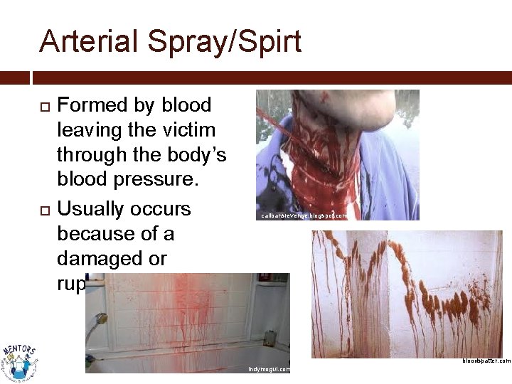 Arterial Spray/Spirt Formed by blood leaving the victim through the body’s blood pressure. Usually