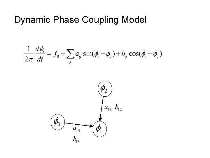 Dynamic Phase Coupling Model 