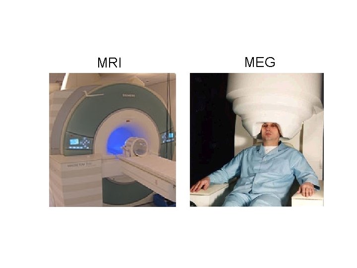 MRI MEG 