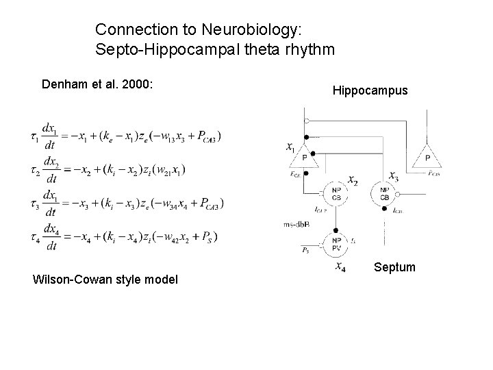 Connection to Neurobiology: Septo-Hippocampal theta rhythm Denham et al. 2000: Wilson-Cowan style model Hippocampus
