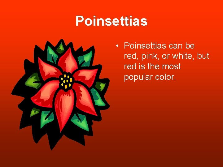 Poinsettias • Poinsettias can be red, pink, or white, but red is the most Poinsettias • Poinsettias can be red, pink, or white, but red is the most