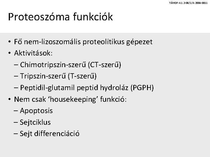 TÁMOP-4. 1. 2 -08/1/A-2009 -0011 Proteoszóma funkciók • Fő nem-lizoszomális proteolitikus gépezet • Aktivitások: