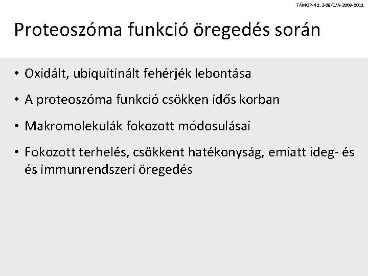 TÁMOP-4. 1. 2 -08/1/A-2009 -0011 Proteoszóma funkció öregedés során • Oxidált, ubiquitinált fehérjék lebontása