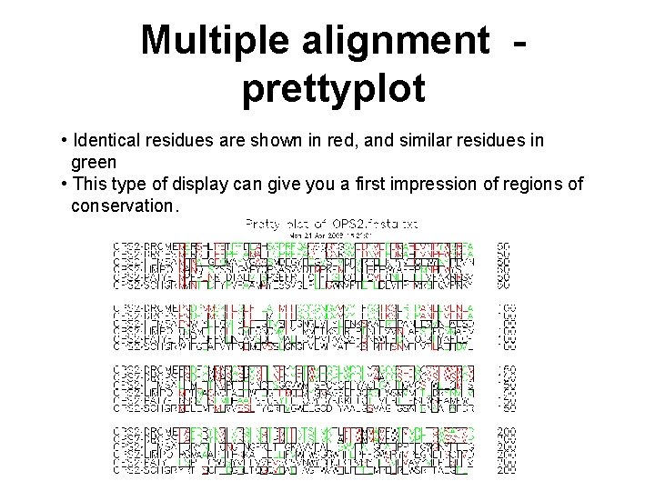 Multiple alignment prettyplot • Identical residues are shown in red, and similar residues in