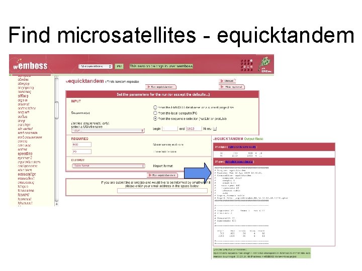 Find microsatellites - equicktandem 