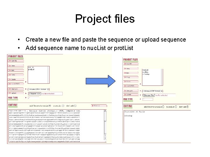 Project files • Create a new file and paste the sequence or upload sequence