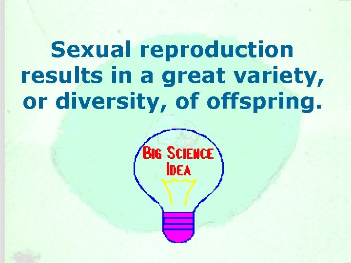 Sexual reproduction results in a great variety, or diversity, of offspring. 