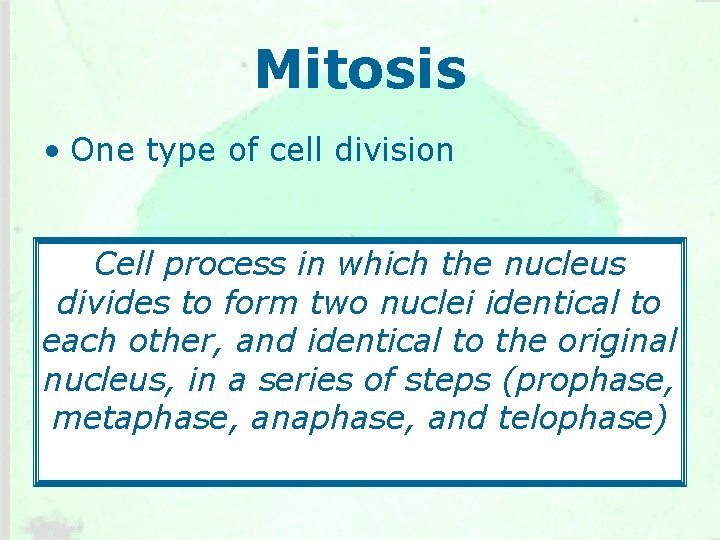 Mitosis • One type of cell division Cell process in which the nucleus divides