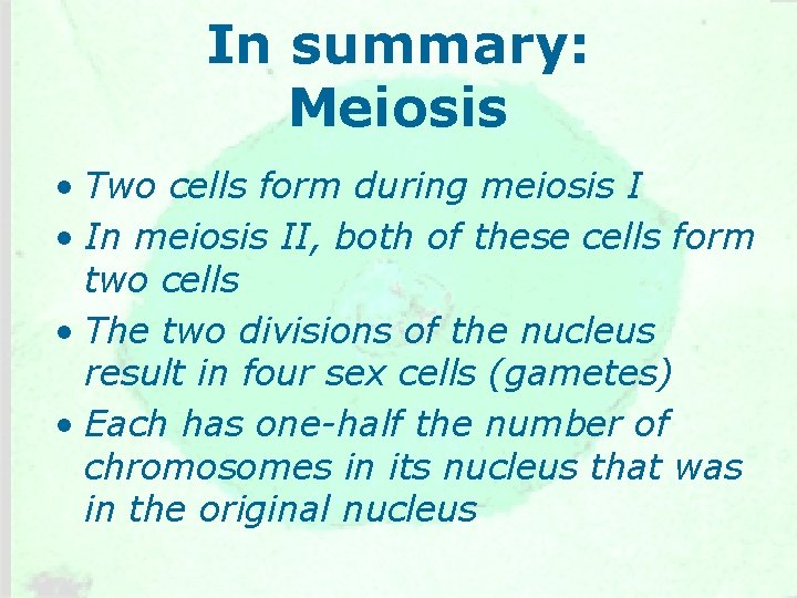 In summary: Meiosis • Two cells form during meiosis I • In meiosis II,
