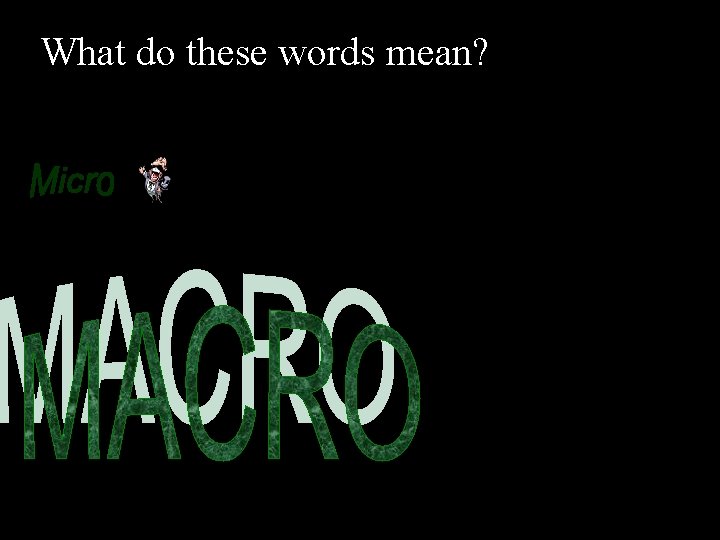 What do these words mean?  What do these words mean?