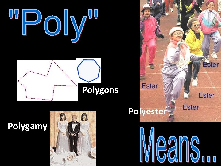 Polygons Polyester Polygamy  Polygons Polyester Polygamy