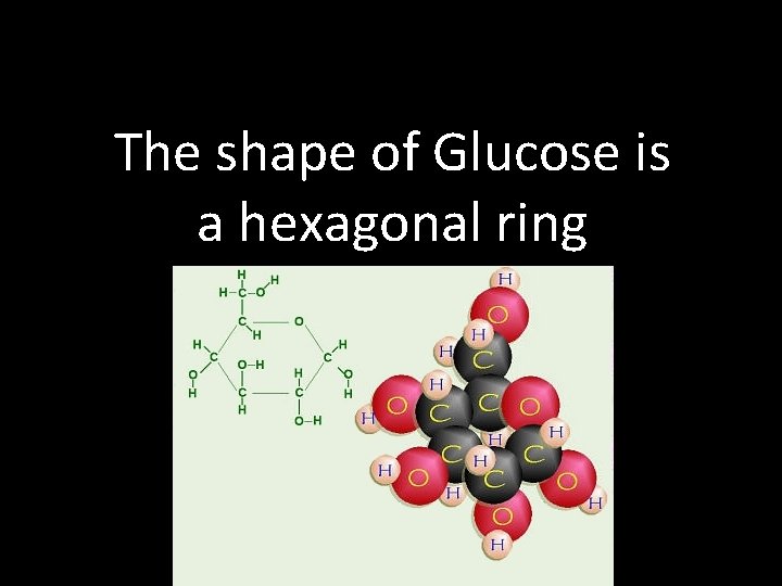 The shape of Glucose is a hexagonal ring  The shape of Glucose is a hexagonal ring
