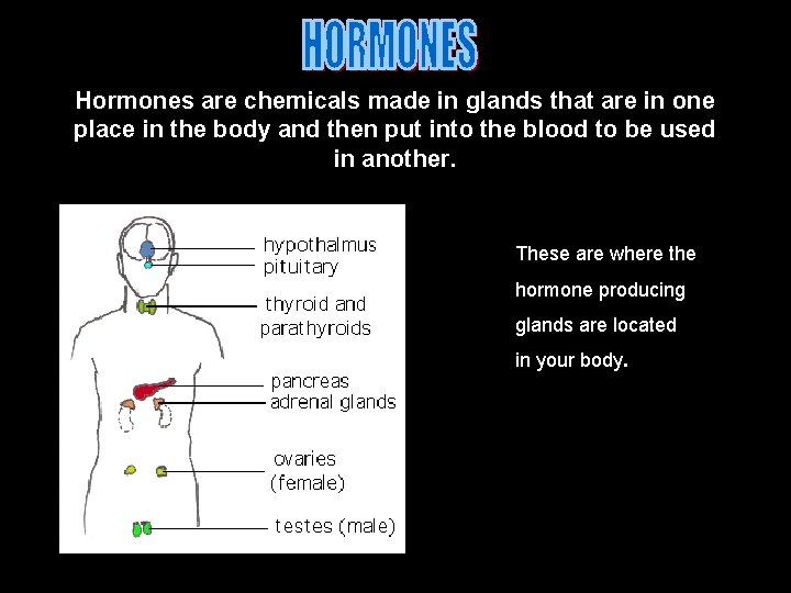 Hormones are chemicals made in glands that are in one place in the body Hormones are chemicals made in glands that are in one place in the body