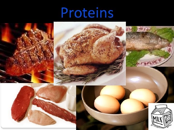 Proteins  Proteins