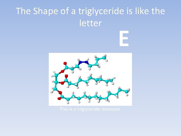 The Shape of a triglyceride is like the letter E This is a triglyceride The Shape of a triglyceride is like the letter E This is a triglyceride