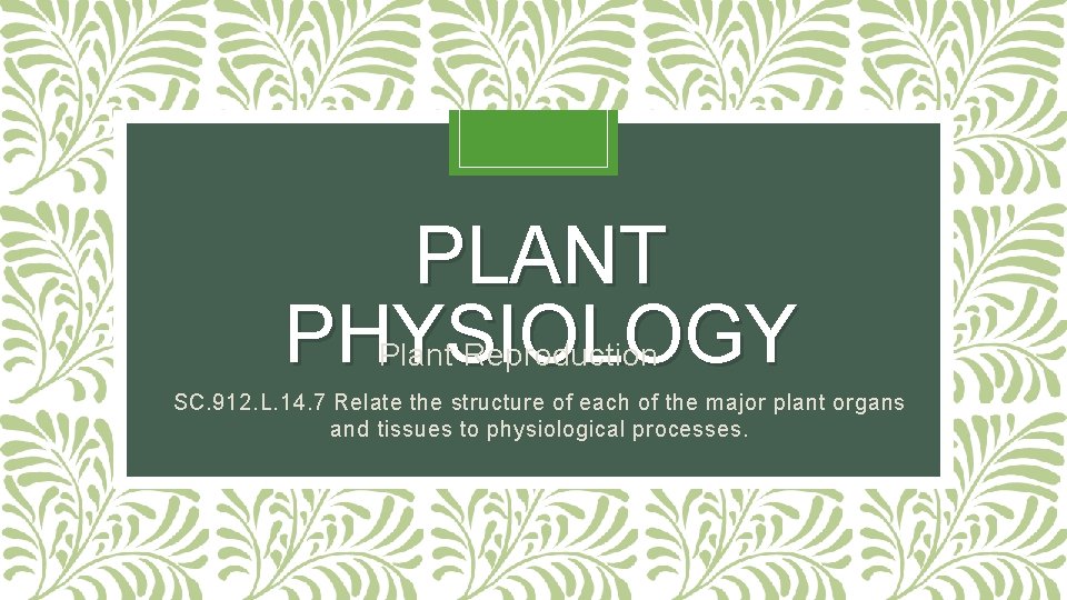 PLANT PHYSIOLOGY Plant Reproduction SC. 912. L. 14. 7 Relate the structure of each