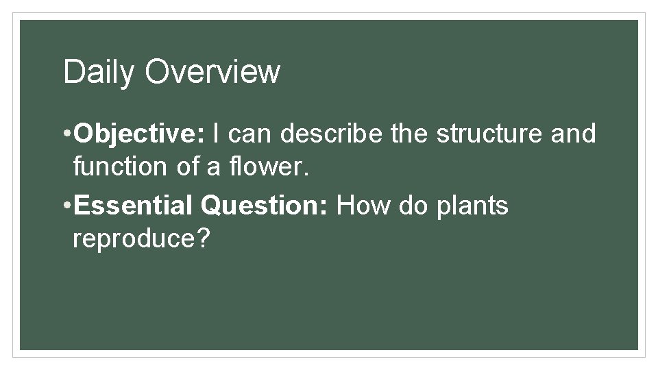 Daily Overview • Objective: I can describe the structure and function of a flower.