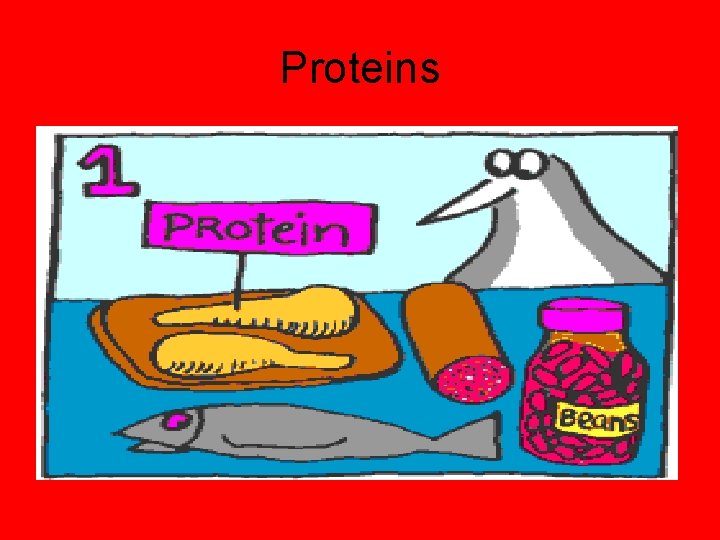 Proteins 