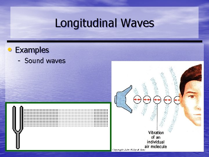 Longitudinal Waves • Examples - Sound waves 