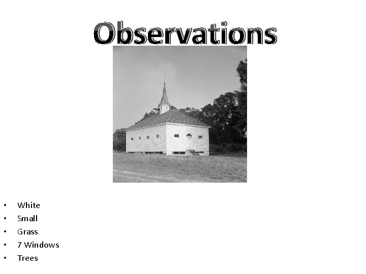 Observations • • • White Small Grass 7 Windows Trees 