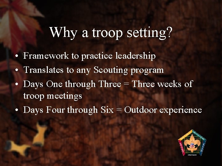 Why a troop setting? • Framework to practice leadership • Translates to any Scouting