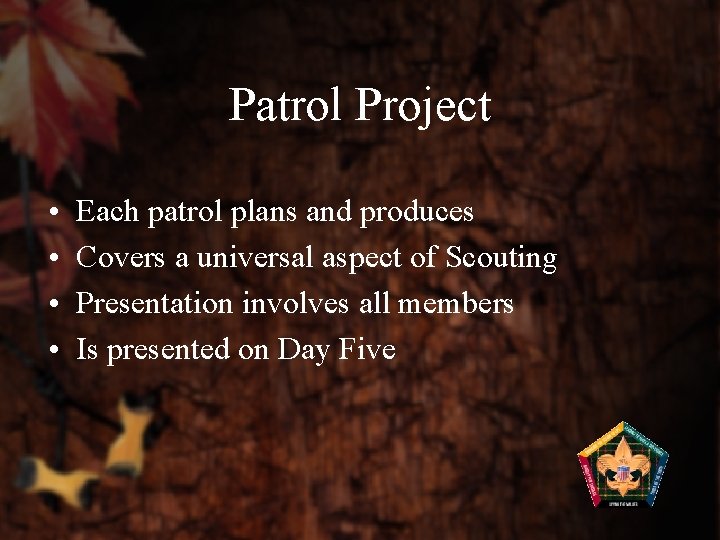 Patrol Project • • Each patrol plans and produces Covers a universal aspect of
