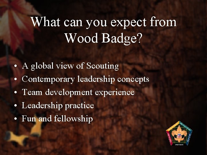 What can you expect from Wood Badge? • • • A global view of