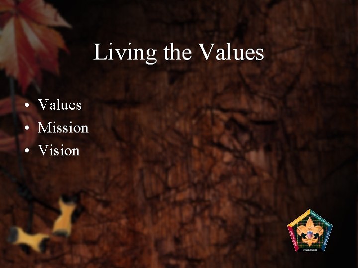 Living the Values • Mission • Vision 