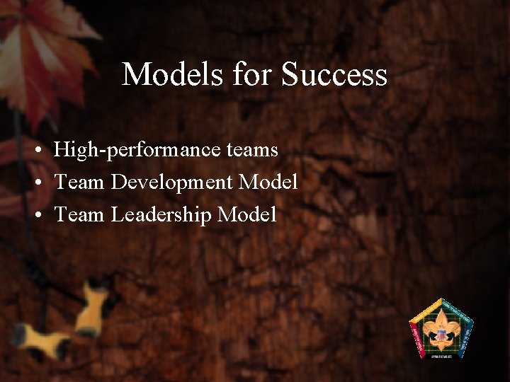 Models for Success • High-performance teams • Team Development Model • Team Leadership Model