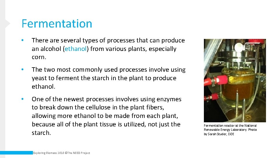 Fermentation • There are several types of processes that can produce an alcohol (ethanol)