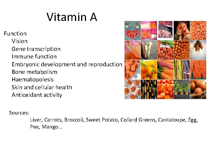 Vitamin A Function Vision Gene transcription Immune function Embryonic development and reproduction Bone metabolism