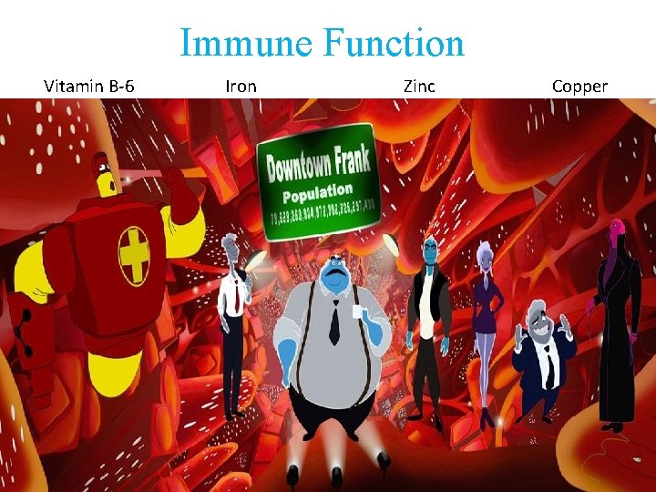 Immune Function Vitamin B-6 Iron Zinc Copper 