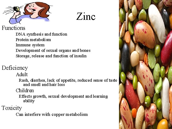 Zinc Functions – – – DNA synthesis and function Protein metabolism Immune system Development