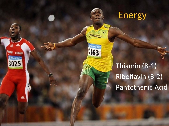 Energy Thiamin (B-1) Riboflavin (B-2) Pantothenic Acid 