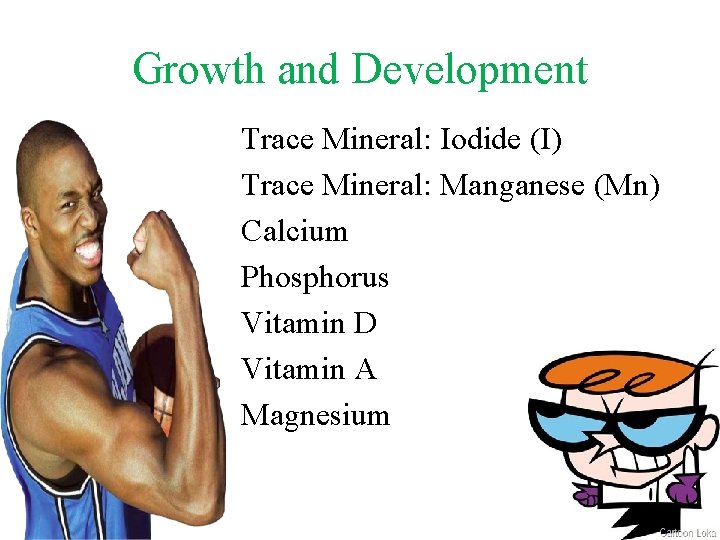 Growth and Development Trace Mineral: Iodide (I) Trace Mineral: Manganese (Mn) Calcium Phosphorus Vitamin